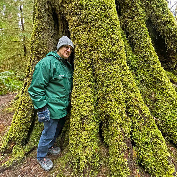 Mossy tree, Daniel Sparler moss article