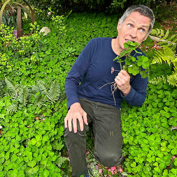 Daniel Sparler with oxalis