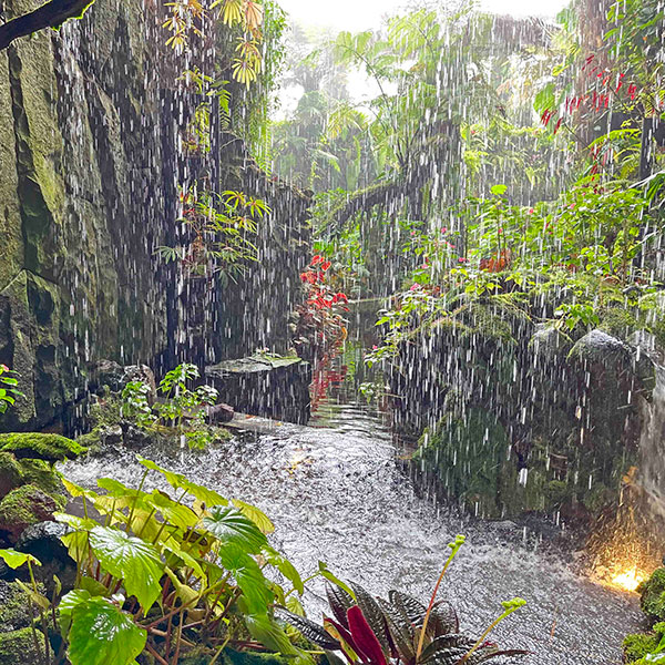 Cloud Forest, Singapore 2