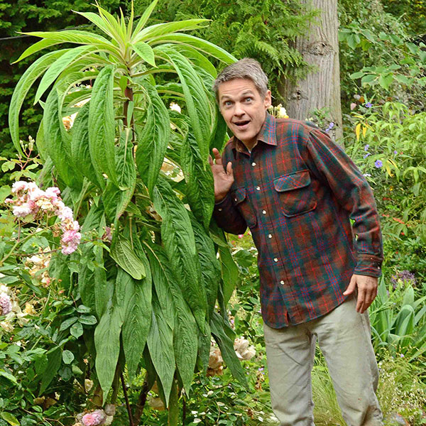 Photo of Echium with Daniel Sparler